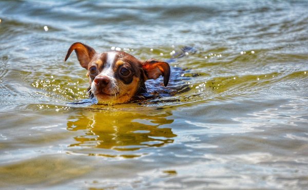 Guide ultime du jardinage pour les débutants : tout ce qu'il faut savoir