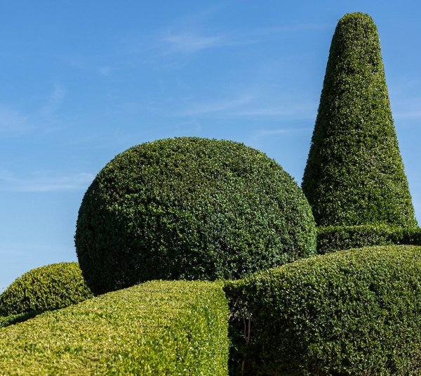 les dernières tendances en matière d'aménagement paysager pour sublimer votre jardin