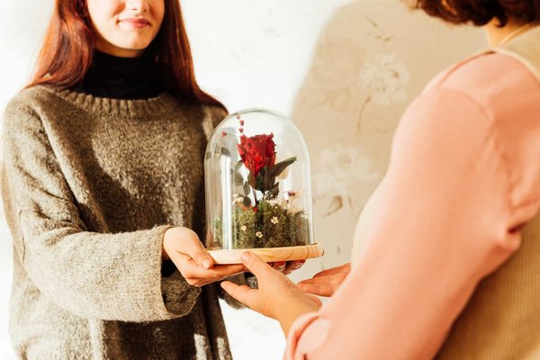 Harmonie naturelle : rose éternelle sous cloche